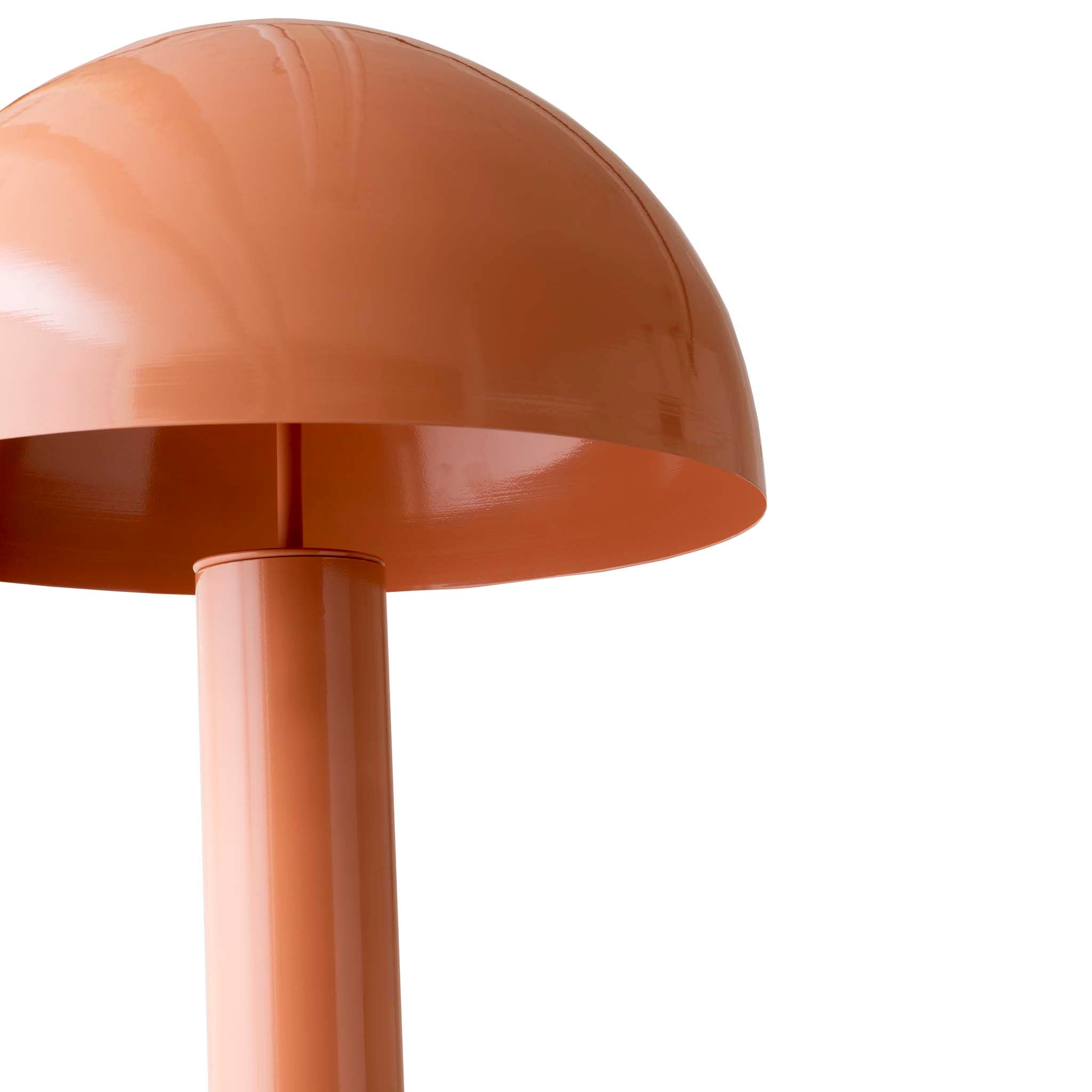 Mantar Lambader Somon